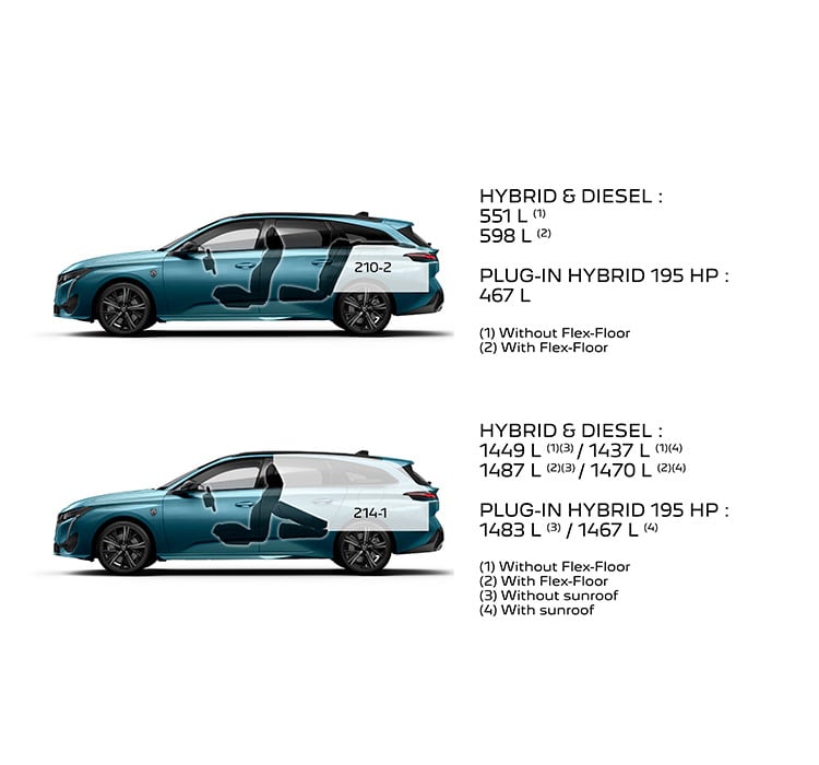 Plug In Hybrid Oder Hybrid