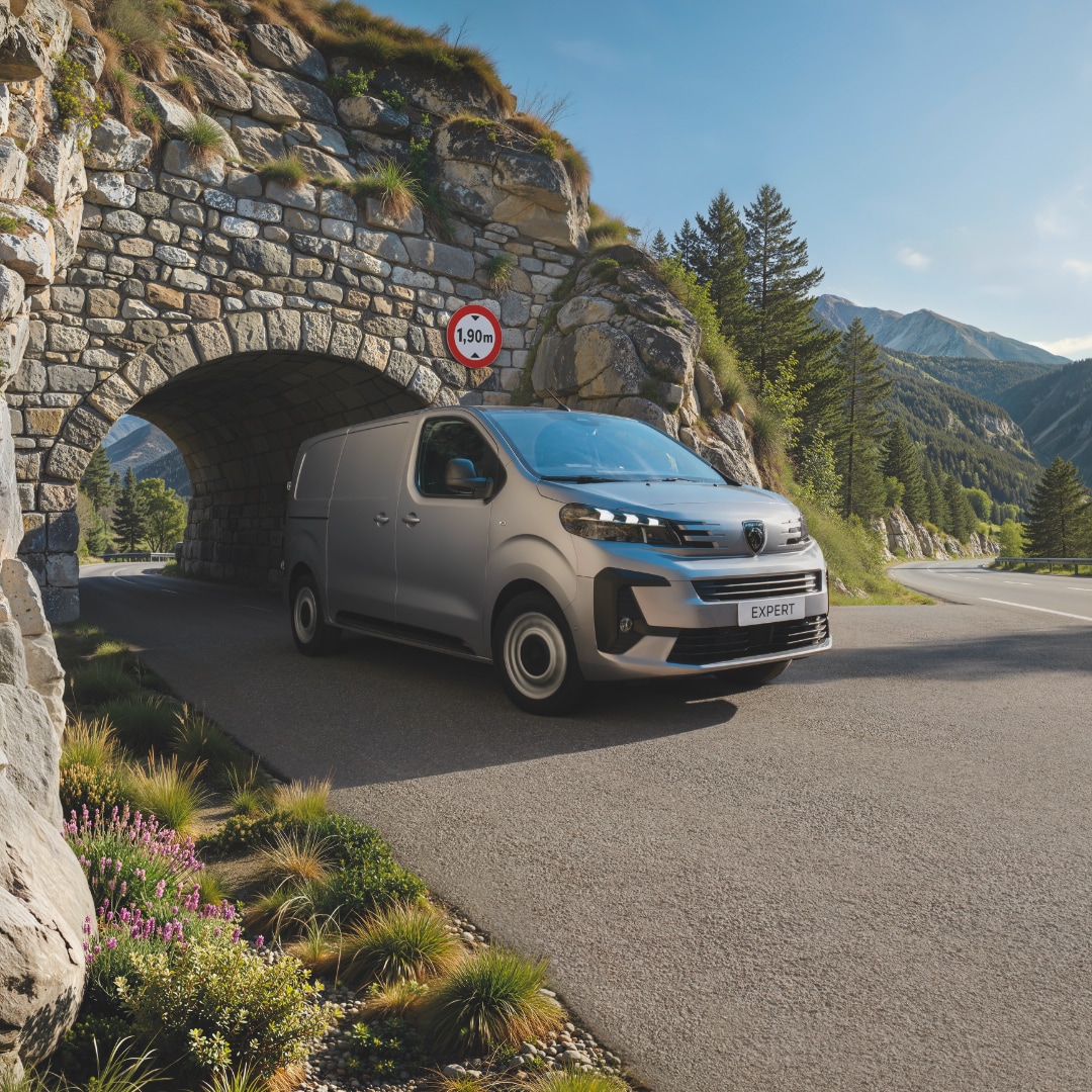 PEUGEOT EXPERT mit einer Höhe von nur 1,90 m