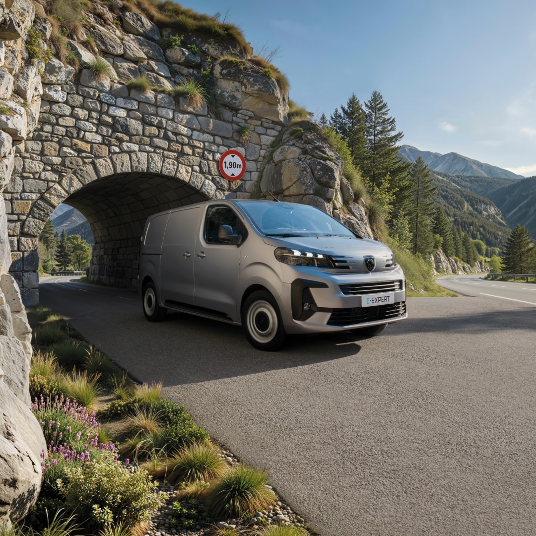 PEUGEOT E-EXPERT mit einer auf 1,90 m begrenzten Höhe